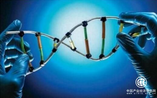 黑龍江強鏈增效推動生物產業創新融合