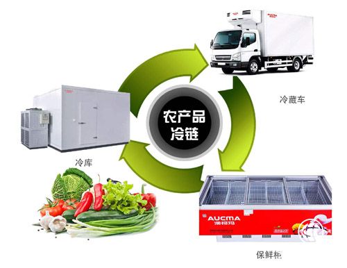 山東探索建立農產品冷鏈流通“不斷鏈”模式