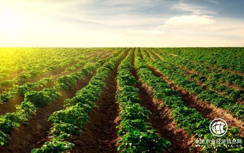 內外動力驅動 環境修復產業迎來十年黃金發展期