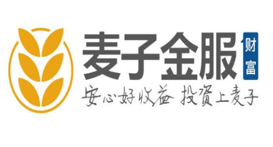 變革成就非凡價值 麥子金服蟬聯獵聘“2017上海變革非凡雇主獎”