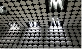 泰爾終端實驗室潘娟：IFAA聯盟的誕生有利于生物識別市場的良性發展