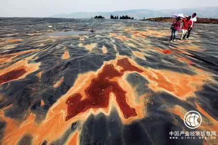 環保部、農業部：耕地土壤重金屬污染情況不容樂觀