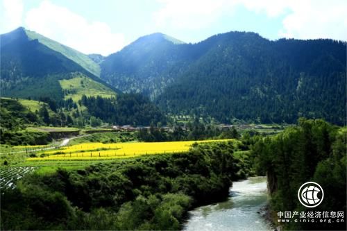 創新發展優質旅游 提高國際競爭力