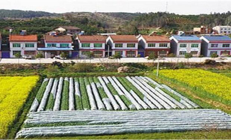 農村集體產權改革試點明年擴圍 北京等地有望整省試點