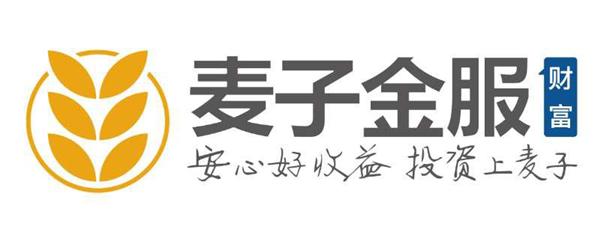 麥子金服：科技綻放金融之美