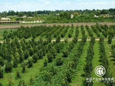 貴州：休耕多方受益 促進農業良性發展