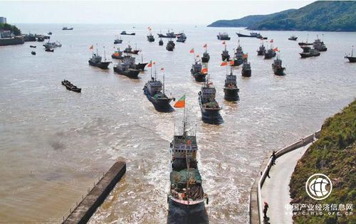 浙江出臺新政促進海洋漁業可持續發展
