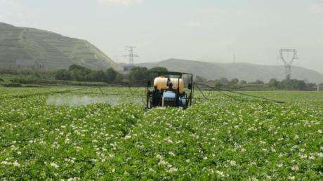 科技智慧助力：甘肅榆中農業發展一日千里