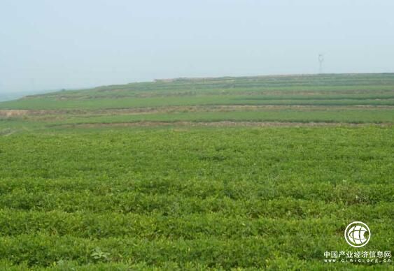 黑龍江省綠色食品標識產品達2700個