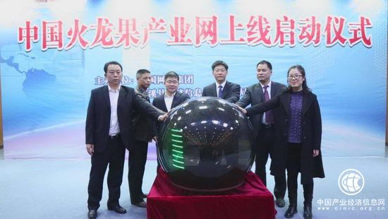  遂溪縣特色產業觸網升級 中國火龍果產業網全面啟動