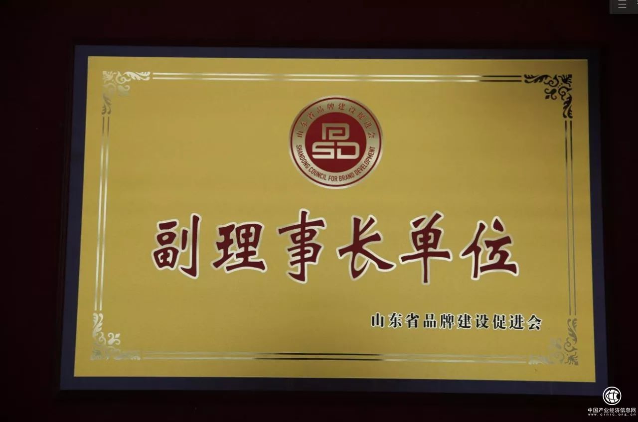 山東省品牌建設促進會成立大會召開_云媒股份當選副理事長單位