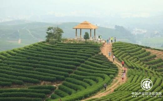依托大品牌 農業特色小鎮田里淘金