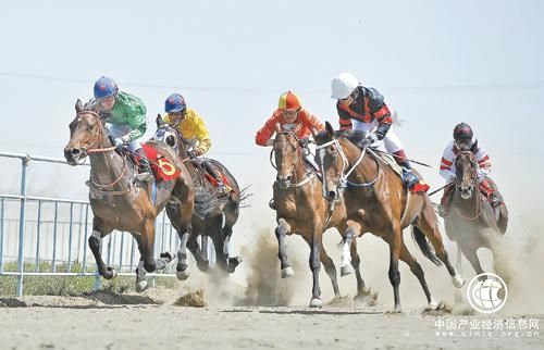 新疆將加快推動馬產業轉型升級