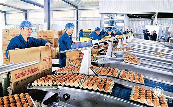 德青源堅守匠心品質 做負責任的民族企業