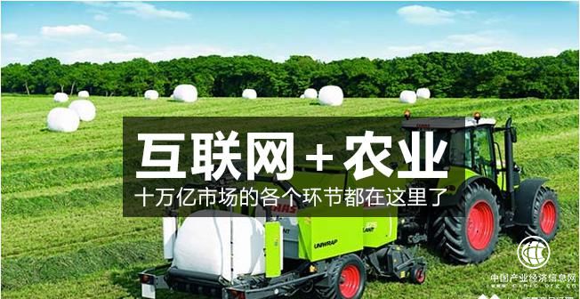 新模式大藍海 互聯網養殖讓農戶、用戶共致富