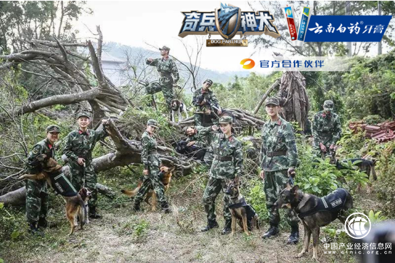 《奇兵神犬》結局篇默契大考驗，云南白藥牙膏持續陪伴見證成長