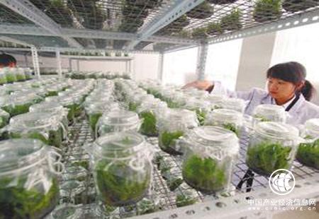 我國生物產業發展迅速 復合增長率達15%以上