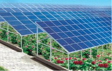 光伏農業前景好 緊跟政策很重要
