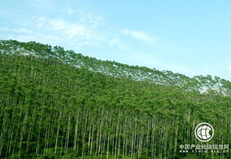 2017年我國林業產業總值首次突破7萬億元