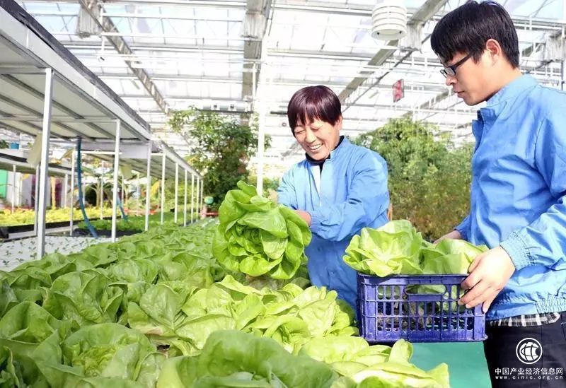 農業部與北京市簽署合作協議 共建北京農產品綠色優質安全示范區