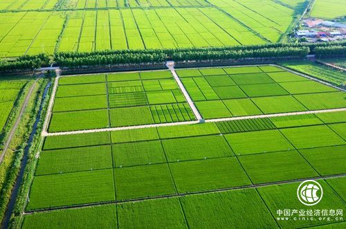 《關于嚴格核定土地整治和高標準農田建設項目新增耕地的通知》解讀