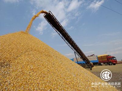 內蒙古糧食播種面積達8400萬畝 苗情長勢較好