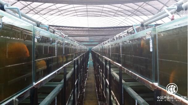 地熱循環的一面旗幟——河北省雄縣創新農業科技示范園區