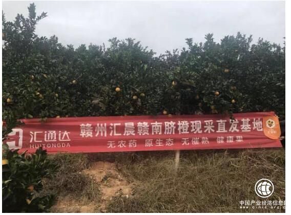 農村生態電商持續賦能 匯通達欲助百縣農特產上行