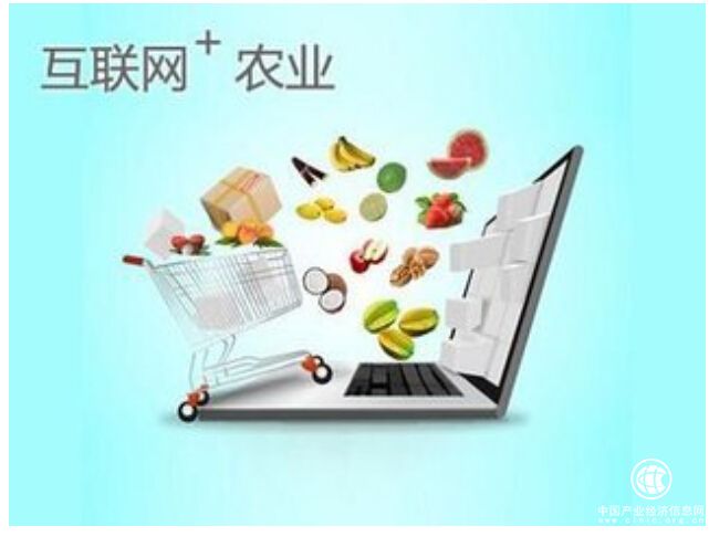 趙朝政創建大理農副產品網.手機，打造農副產品行業領軍平臺
