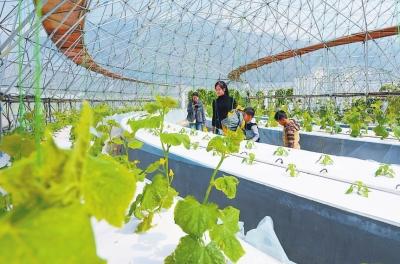 福建出臺政策加快數字農業發展