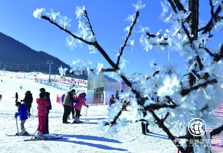 國家發展改革委：引導冰雪旅游目的地從單季開放向四季運營轉變