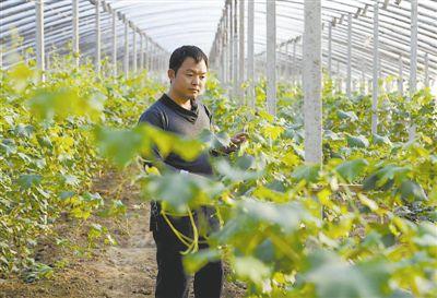 到2020年我國新型職業農民將達2000萬人