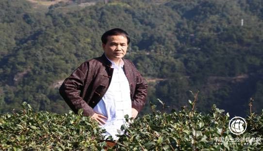 從此，廈門本土有了自己的評茶大師