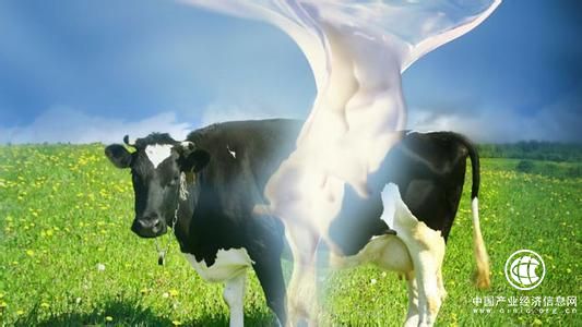 乳殤十年 滄桑巨變 中國乳業從生死困局到浴火重生