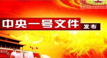 2018年中央一號文件公布 全面部署實施鄉村振興戰略