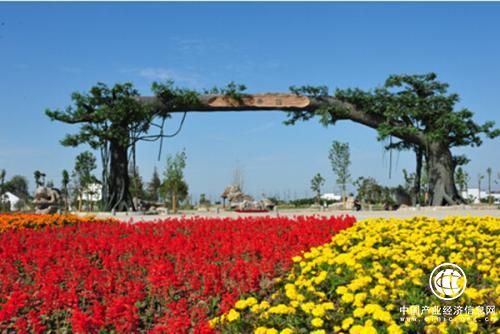 江蘇創意農業產業巨大 去年規模超430億元