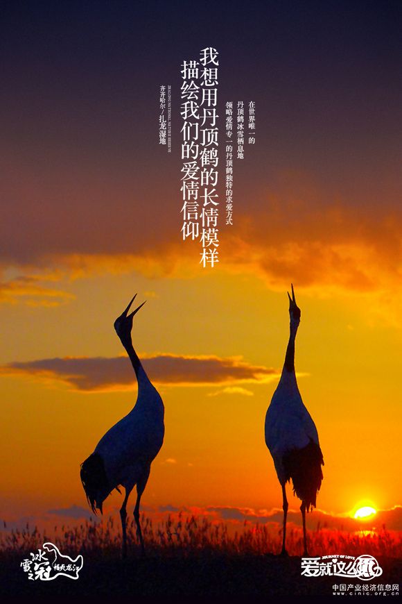 黑龍江推出愛情旅行十個玩法：“冰雪戀人”愛就這么玩!