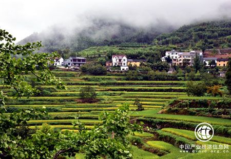 我國2020年有望建成國家生態保護紅線監管平臺