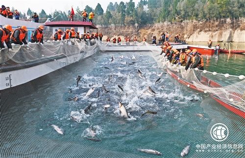 2018年我國漁業發展質量明顯提升