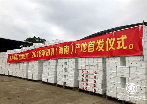 海南陵水：萬箱農產品搭上電商快車銷往全國