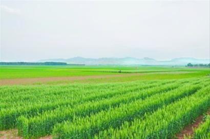 財政部修訂農業綜合開發財務管理辦法