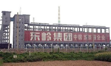 東嶺集團成為陜西首個收入過千億元的民營企業