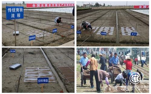 改變傳統育秧模式，解決育秧機械化難題 