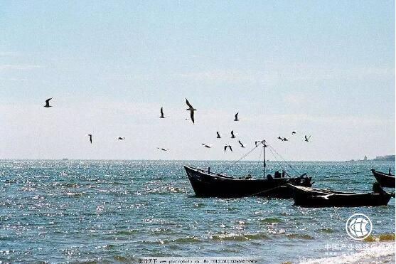 廣東南沙將構建休閑漁業民俗文化體驗基地