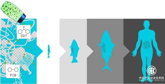 “塑戰速決”——代表們呼吁盡快制定政策解決塑料污染問題