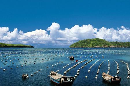 優化藍色海洋經濟，打造新的經濟增長點