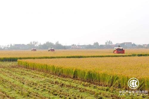 兩部委聯合發文：土地整治重大工程實行獎補結合先建后獎