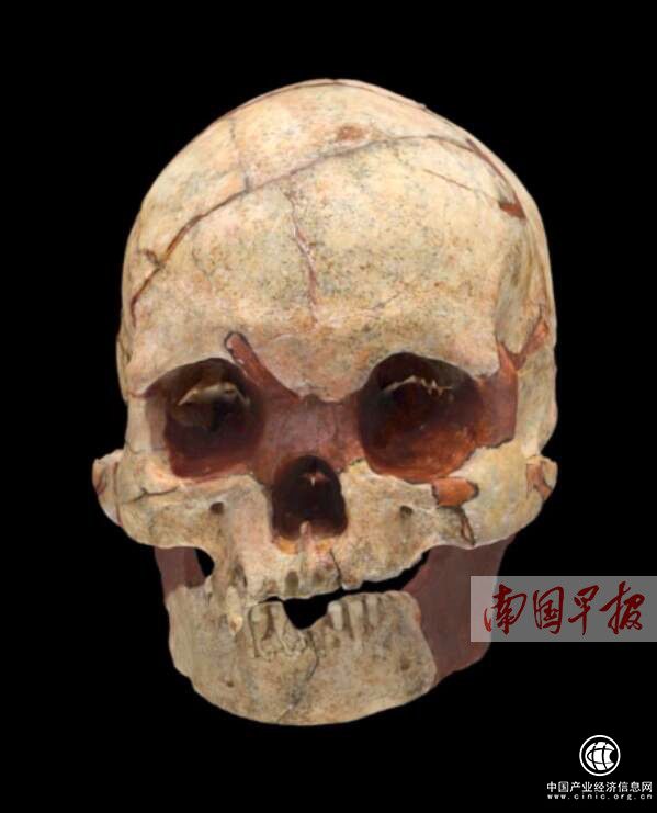 廣西隆安發現1.6萬年前人類頭骨化石和石制品