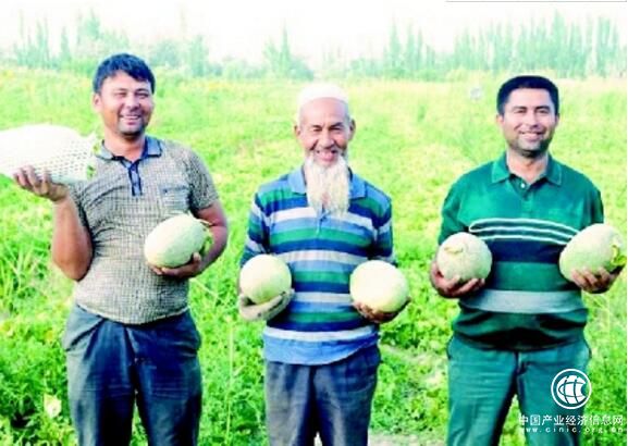 助推鄉村振興和精準脫貧的“阿里農村淘寶模式”