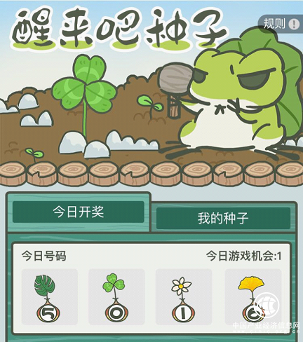你的蛙正在做任務 快來愛又米助他一臂之力